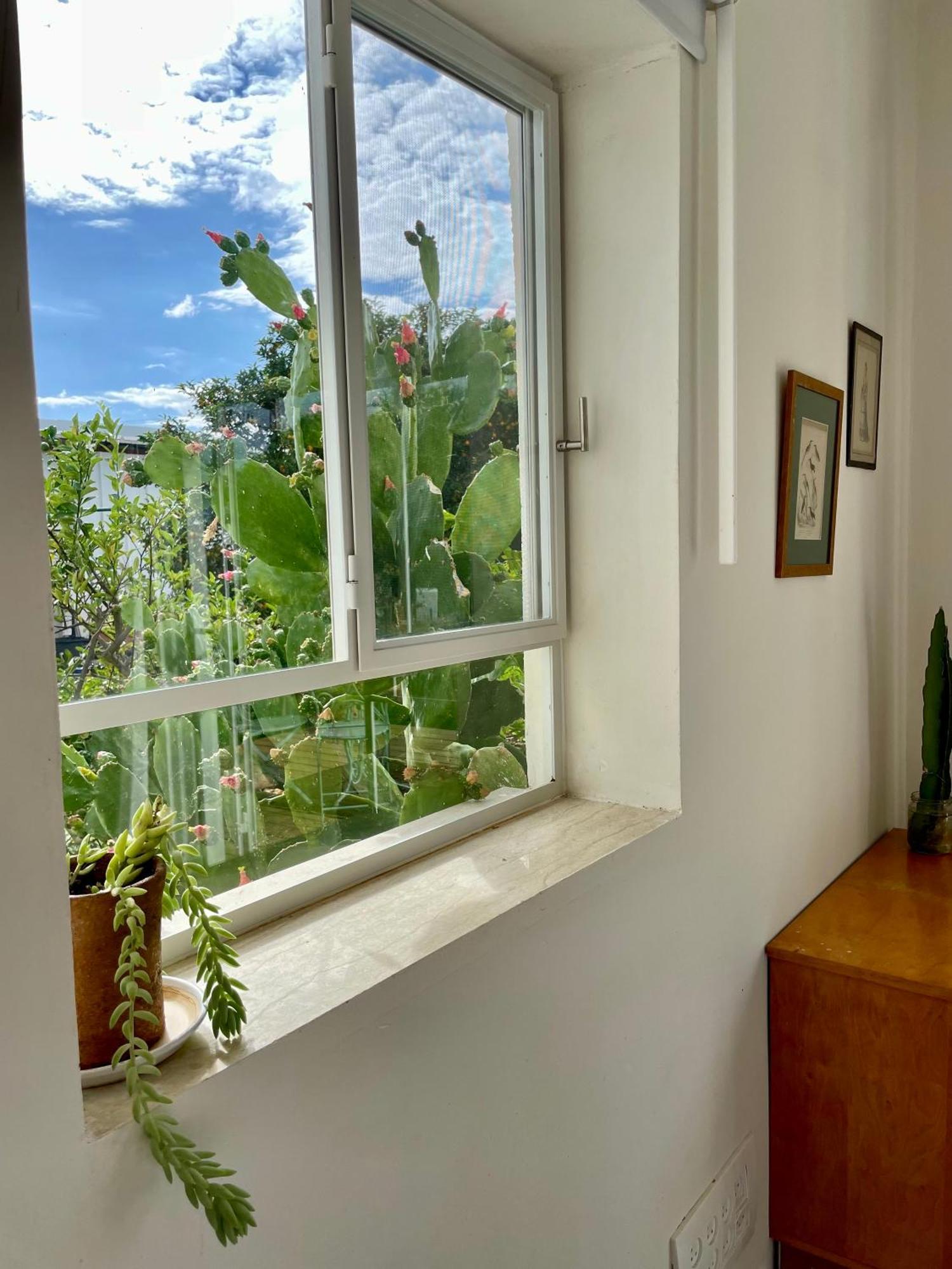 בקתות האס ואטינגר Villa Geva Carmel Ngoại thất bức ảnh